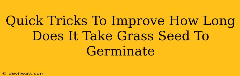 Quick Tricks To Improve How Long Does It Take Grass Seed To Germinate