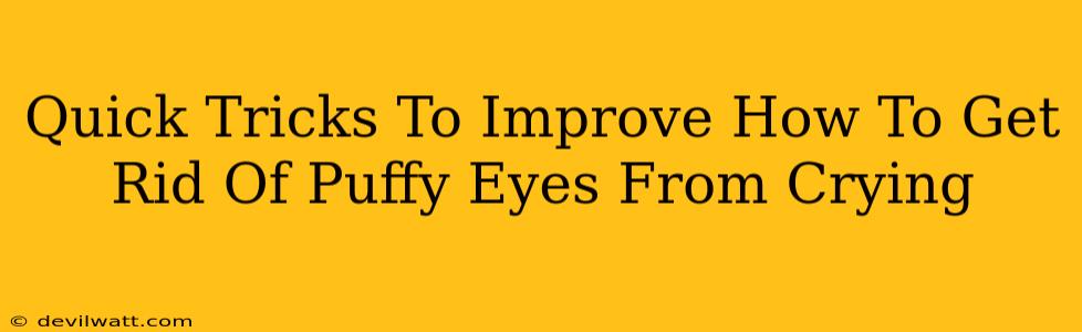 Quick Tricks To Improve How To Get Rid Of Puffy Eyes From Crying