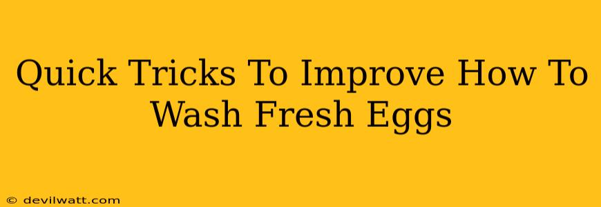 Quick Tricks To Improve How To Wash Fresh Eggs