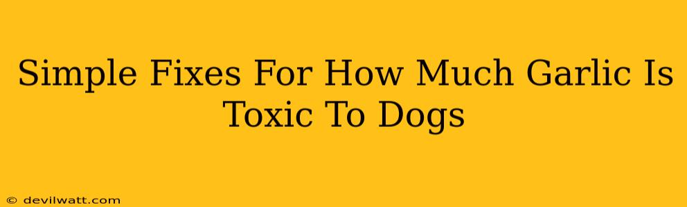 Simple Fixes For How Much Garlic Is Toxic To Dogs