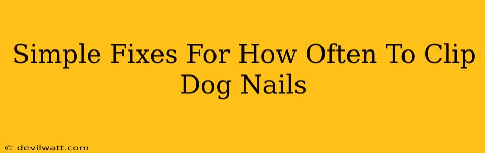 Simple Fixes For How Often To Clip Dog Nails