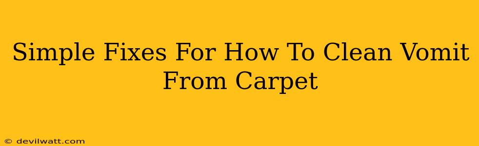 Simple Fixes For How To Clean Vomit From Carpet