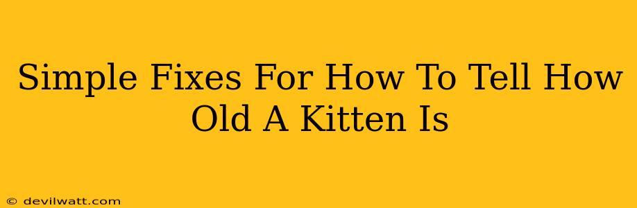 Simple Fixes For How To Tell How Old A Kitten Is