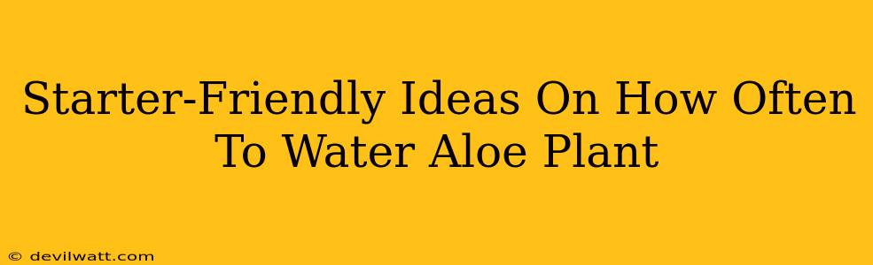 Starter-Friendly Ideas On How Often To Water Aloe Plant