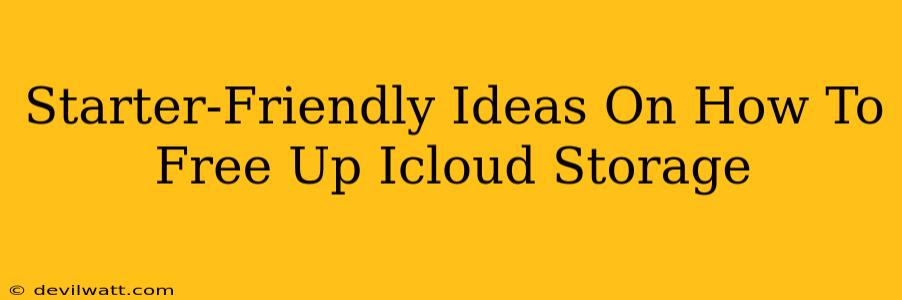 Starter-Friendly Ideas On How To Free Up Icloud Storage