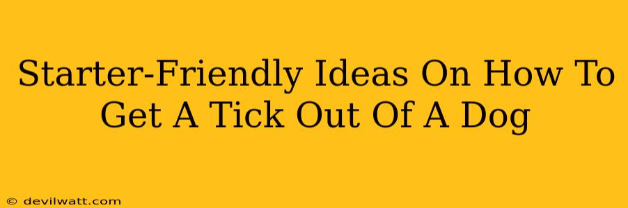 Starter-Friendly Ideas On How To Get A Tick Out Of A Dog