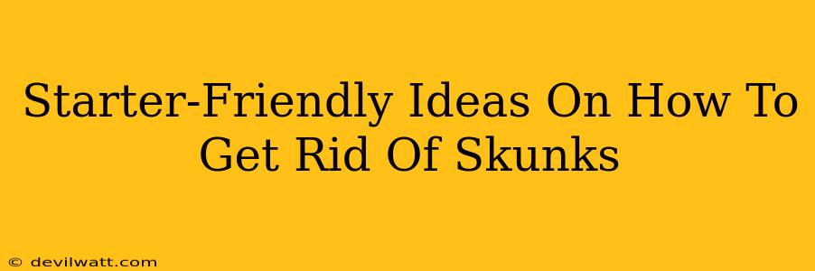 Starter-Friendly Ideas On How To Get Rid Of Skunks