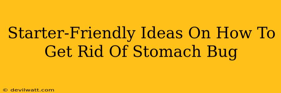 Starter-Friendly Ideas On How To Get Rid Of Stomach Bug