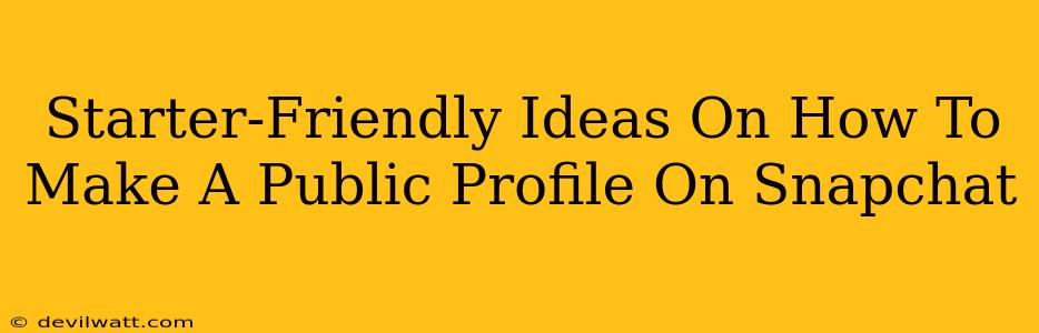 Starter-Friendly Ideas On How To Make A Public Profile On Snapchat