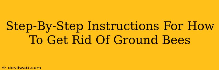 Step-By-Step Instructions For How To Get Rid Of Ground Bees