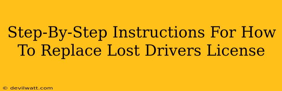 Step-By-Step Instructions For How To Replace Lost Drivers License