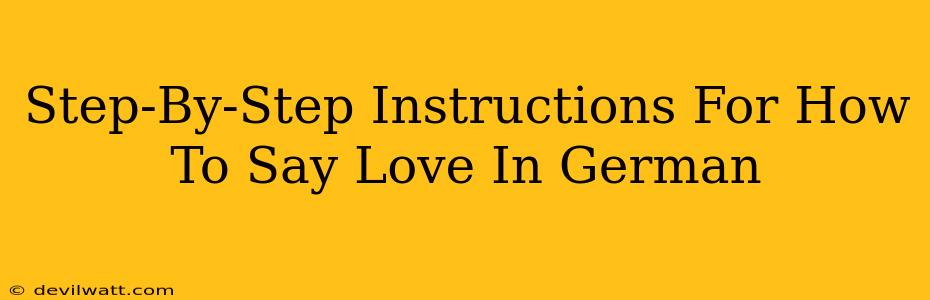 Step-By-Step Instructions For How To Say Love In German