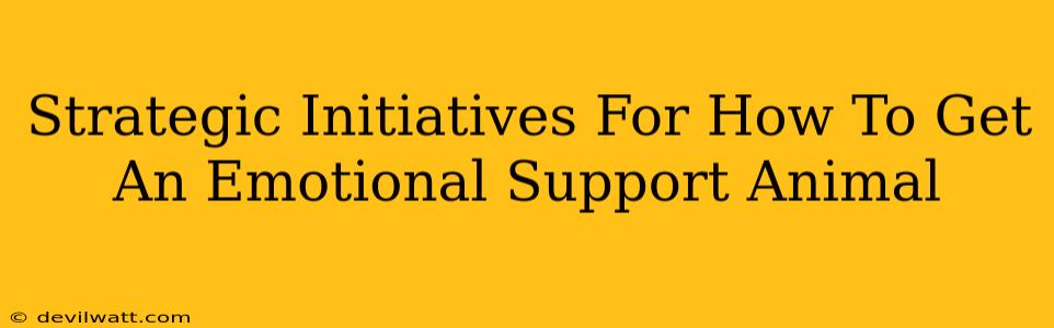 Strategic Initiatives For How To Get An Emotional Support Animal