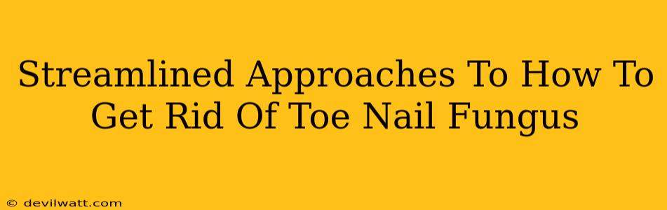 Streamlined Approaches To How To Get Rid Of Toe Nail Fungus