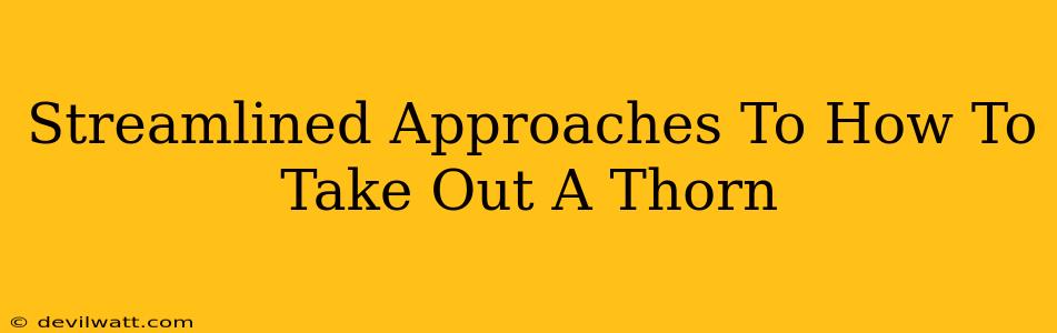 Streamlined Approaches To How To Take Out A Thorn