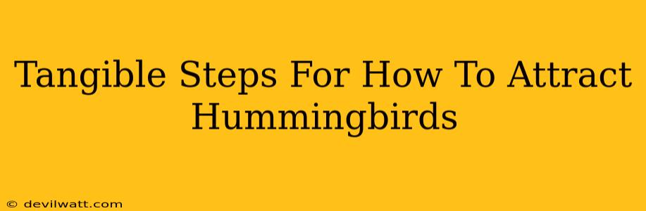 Tangible Steps For How To Attract Hummingbirds