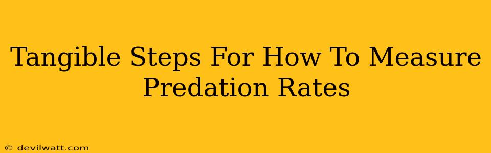 Tangible Steps For How To Measure Predation Rates