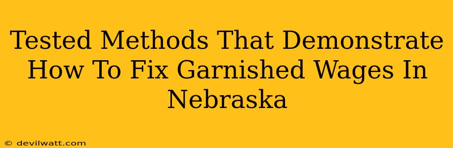 Tested Methods That Demonstrate How To Fix Garnished Wages In Nebraska