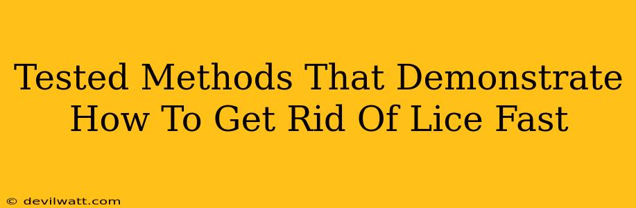 Tested Methods That Demonstrate How To Get Rid Of Lice Fast