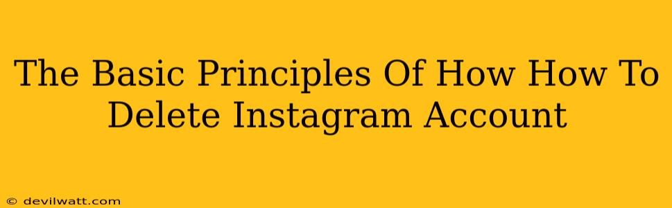 The Basic Principles Of How How To Delete Instagram Account