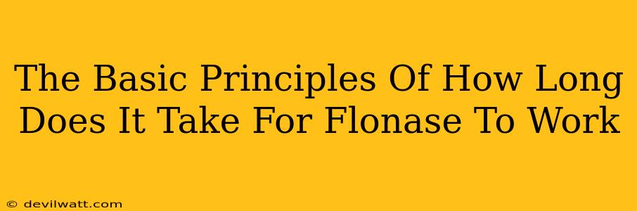 The Basic Principles Of How Long Does It Take For Flonase To Work