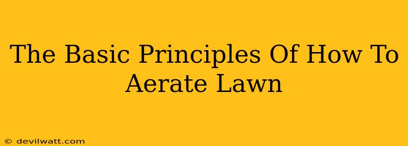 The Basic Principles Of How To Aerate Lawn