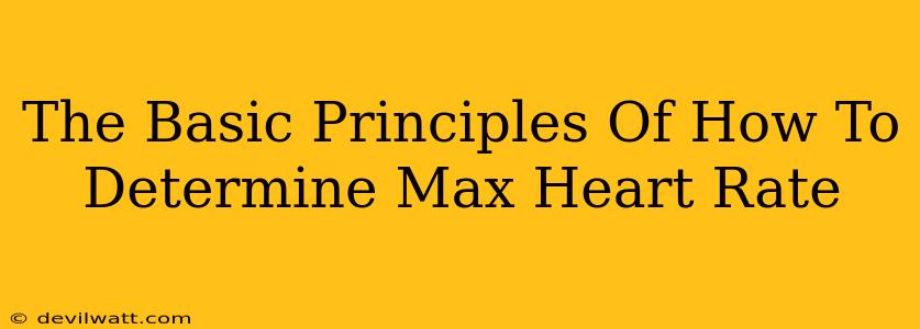 The Basic Principles Of How To Determine Max Heart Rate