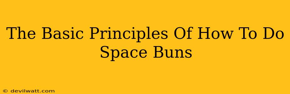 The Basic Principles Of How To Do Space Buns