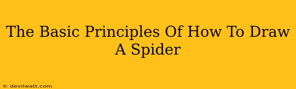 The Basic Principles Of How To Draw A Spider