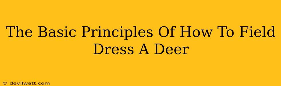 The Basic Principles Of How To Field Dress A Deer