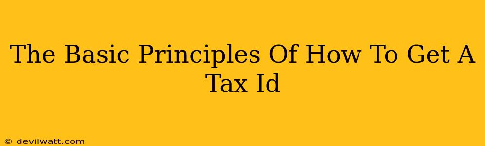 The Basic Principles Of How To Get A Tax Id