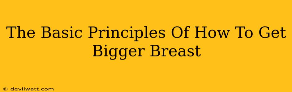 The Basic Principles Of How To Get Bigger Breast