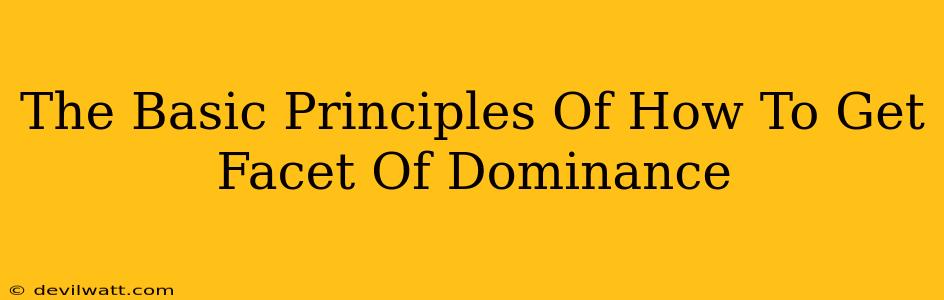 The Basic Principles Of How To Get Facet Of Dominance