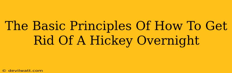 The Basic Principles Of How To Get Rid Of A Hickey Overnight