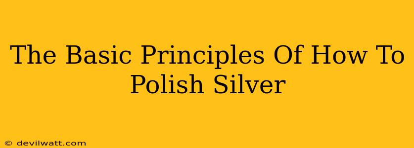 The Basic Principles Of How To Polish Silver