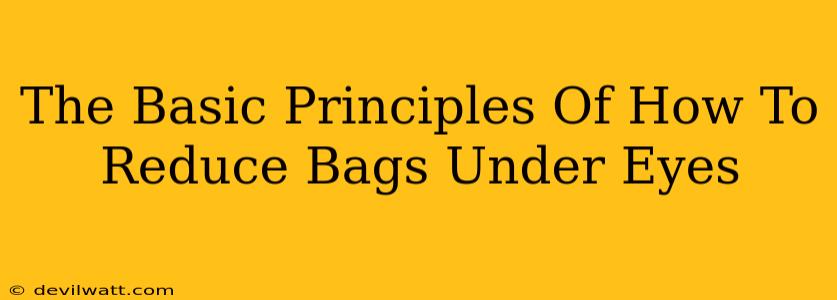 The Basic Principles Of How To Reduce Bags Under Eyes