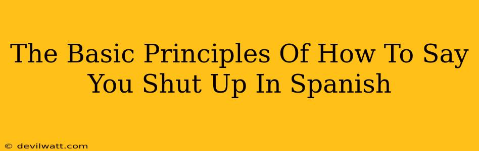 The Basic Principles Of How To Say You Shut Up In Spanish