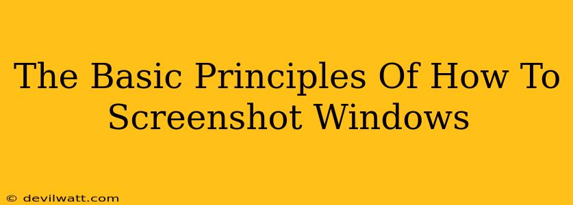 The Basic Principles Of How To Screenshot Windows