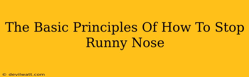 The Basic Principles Of How To Stop Runny Nose