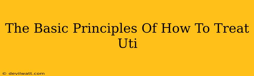 The Basic Principles Of How To Treat Uti