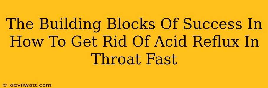 The Building Blocks Of Success In How To Get Rid Of Acid Reflux In Throat Fast