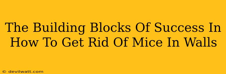 The Building Blocks Of Success In How To Get Rid Of Mice In Walls