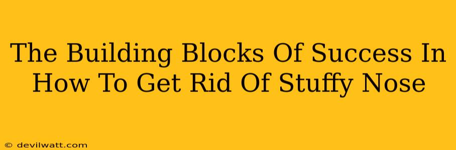 The Building Blocks Of Success In How To Get Rid Of Stuffy Nose