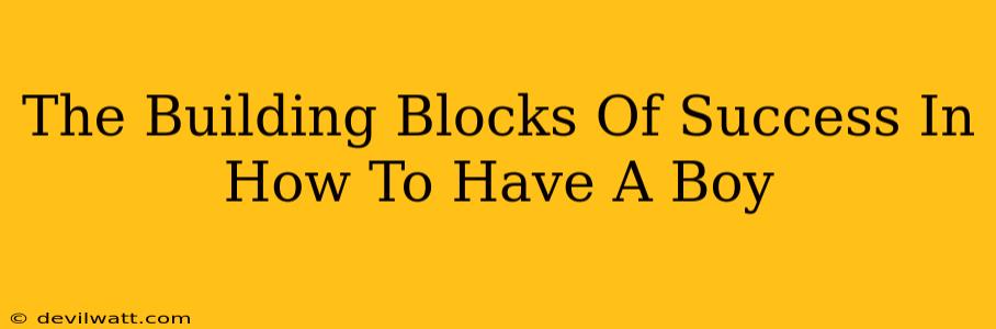 The Building Blocks Of Success In How To Have A Boy