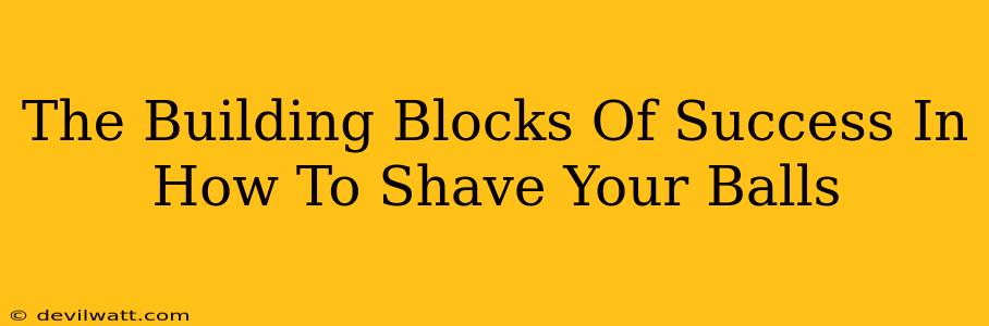 The Building Blocks Of Success In How To Shave Your Balls