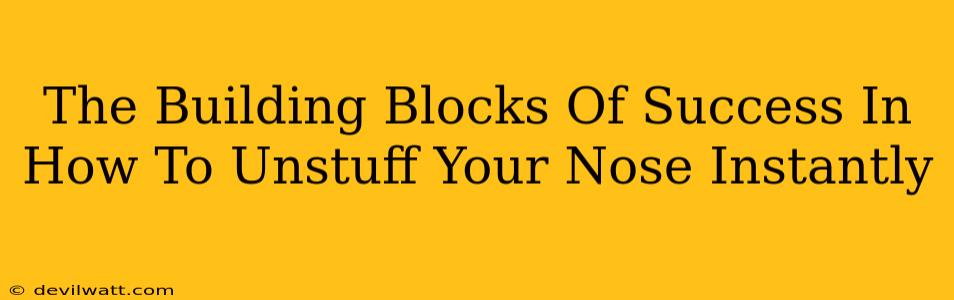 The Building Blocks Of Success In How To Unstuff Your Nose Instantly