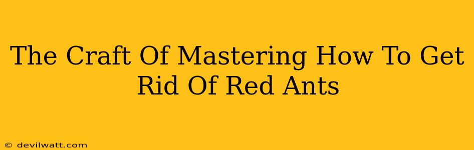The Craft Of Mastering How To Get Rid Of Red Ants