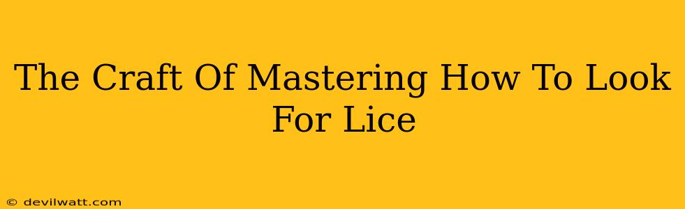 The Craft Of Mastering How To Look For Lice