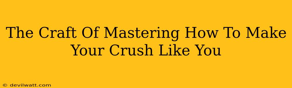 The Craft Of Mastering How To Make Your Crush Like You