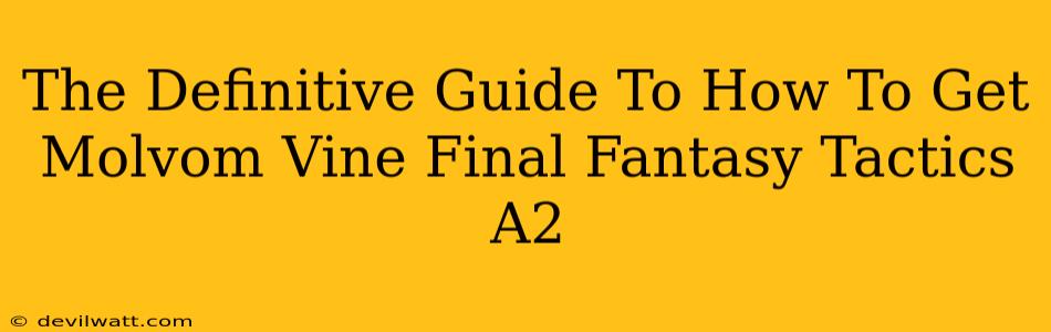 The Definitive Guide To How To Get Molvom Vine Final Fantasy Tactics A2